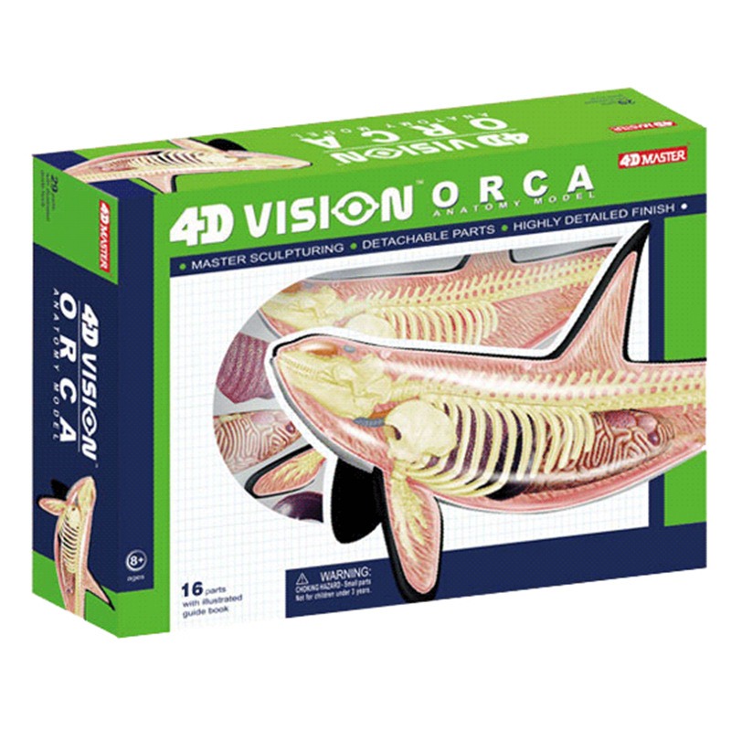 Medical Lab Technology - 4D Vision Orca Walvis Skelet Anatomie