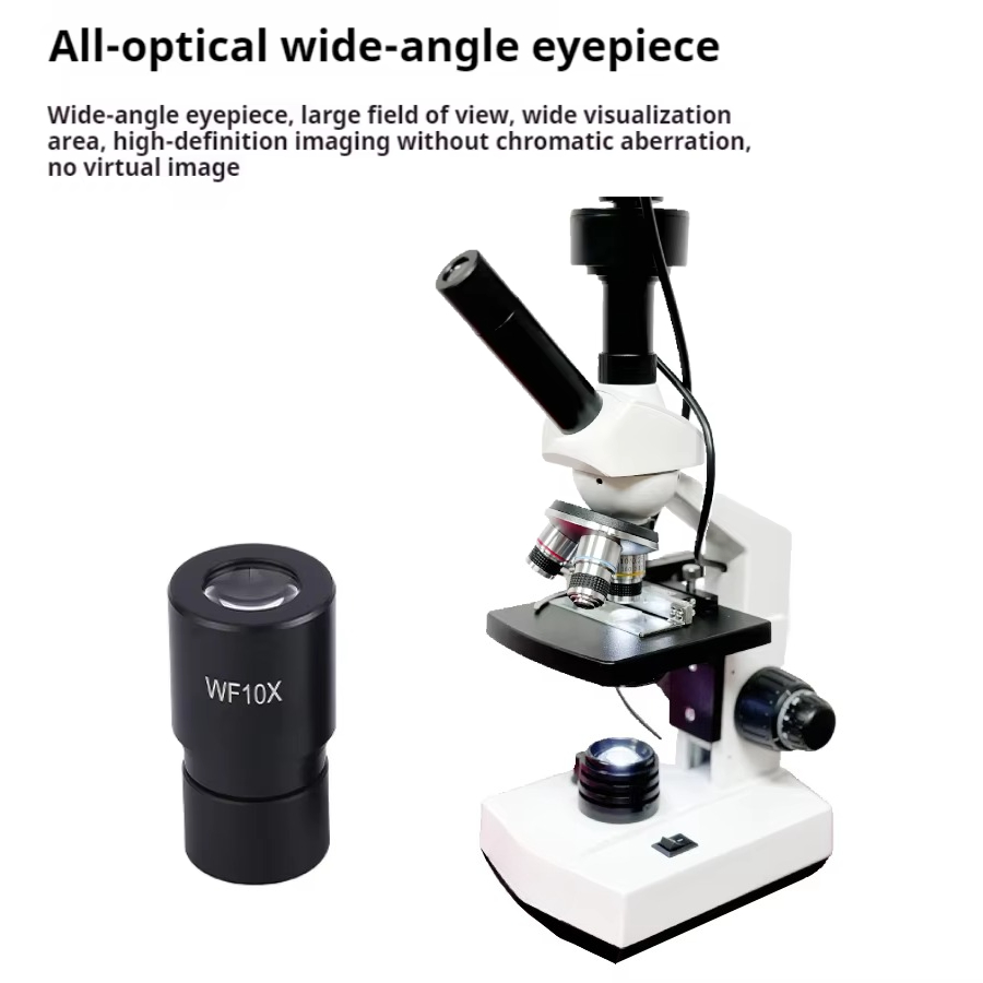 Best verkopende HD-scherm digi - Medical Labs recensie en prijs
